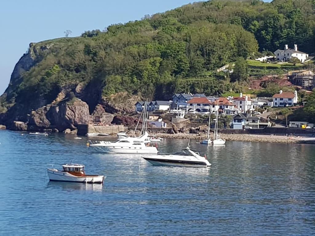 Caldon Holiday Chalet Sleeps 4 In Dartmouth Wifi Electric Inc Pet Friendly Exteriör bild